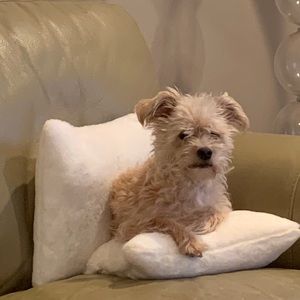 Meet your Posher, Cathy